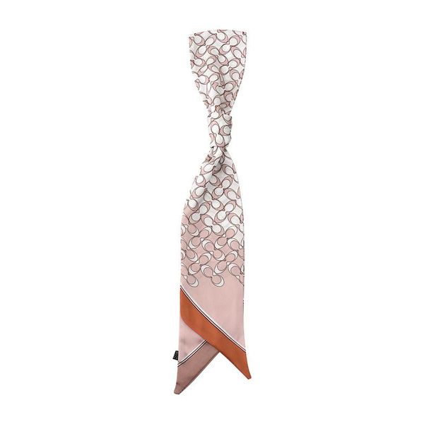 scarves 2021 summer geometric checked loop long silk ribbon women's thin pattern decorative scarf for women, Blue;gray
scarves 2021 summer geometric checked loop long silk ribbon women's thin pattern decorative scarf for women, Blue;gray