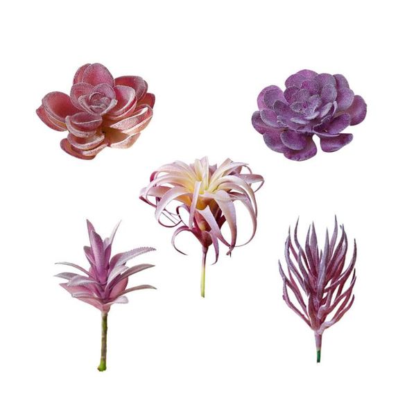 5pcs lifelike creative simulation succulent flower head artificial succulents flocking flower head
5pcs lifelike creative simulation succulent flower head artificial succulents flocking flower head