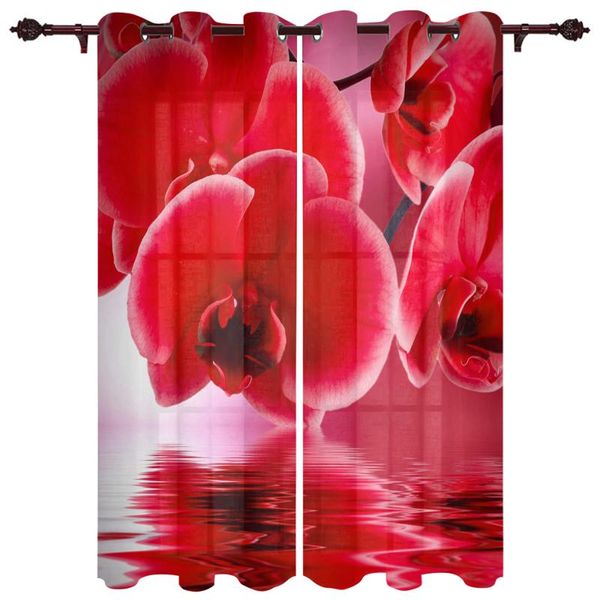 exquisite home luxury curtains red phalaenopsis living room dining room bedroom l exquisite translucent curtains
exquisite home luxury curtains red phalaenopsis living room dining room bedroom l exquisite translucent curtains