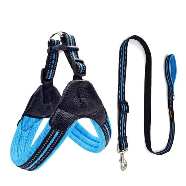 dog collars & leashes nylon harness reflective and leash set breathable mesh pet collar supplies
dog collars & leashes nylon harness reflective and leash set breathable mesh pet collar supplies