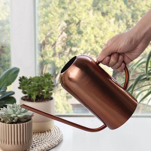 watering equipments stainless steel pot gardening potted small can use handle perfect for flower plants shower garden
watering equipments stainless steel pot gardening potted small can use handle perfect for flower plants shower garden