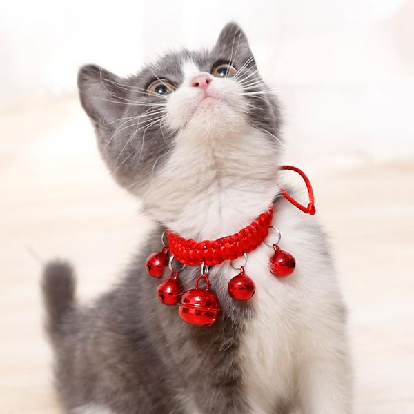 cat collars & leads bells stuff pet collar for cats hand made kitten accessories kittens products the goods chatons
cat collars & leads bells stuff pet collar for cats hand made kitten accessories kittens products the goods chatons