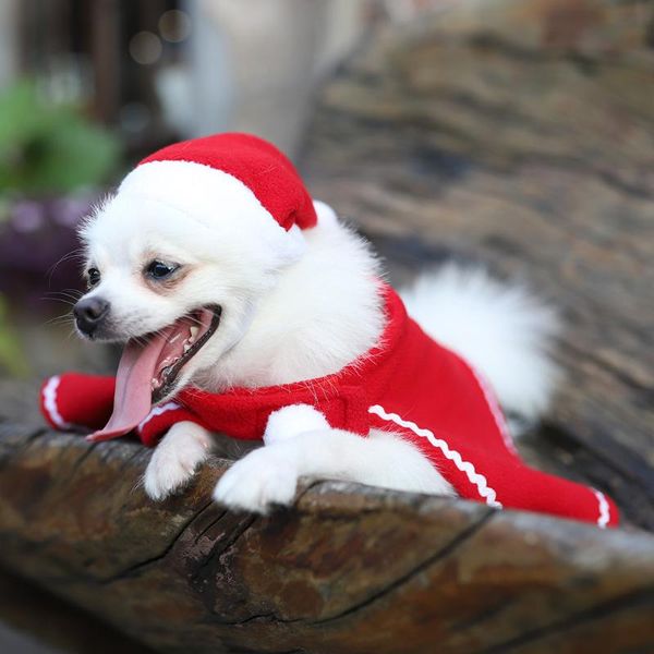 christmas decorations none cute red plush hat with white lace for pet dogs wear ornament ornaments
christmas decorations none cute red plush hat with white lace for pet dogs wear ornament ornaments