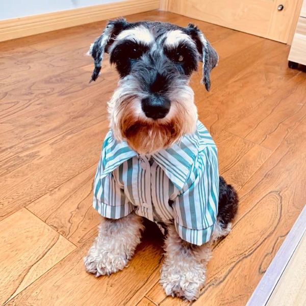 dog apparel shirt cat pomeranian small clothes summer pet clothing poodle bichon schnauzer pug drop costume
dog apparel shirt cat pomeranian small clothes summer pet clothing poodle bichon schnauzer pug drop costume