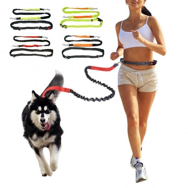 dog collars & leashes jogging pet traction leash hands with adjustable hip belt long reflective rope control for one / two dogs
dog collars & leashes jogging pet traction leash hands with adjustable hip belt long reflective rope control for one / two dogs