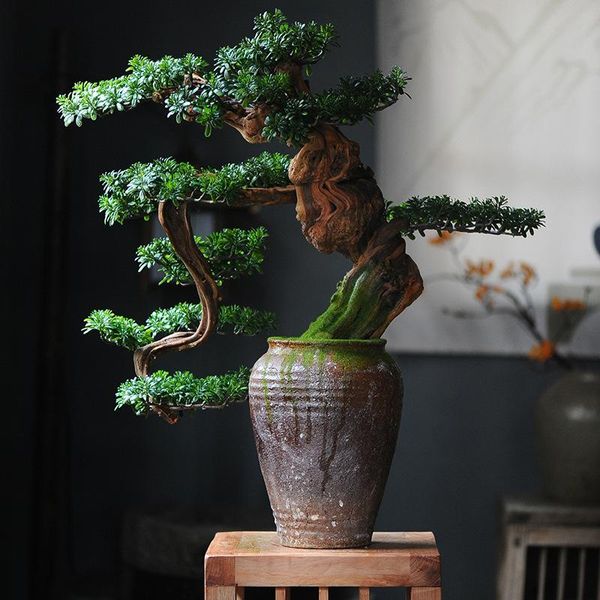 70cm artificial large pine branch potted plants plastic deskdecoration green rare bonsai l office home decor accessories
70cm artificial large pine branch potted plants plastic deskdecoration green rare bonsai l office home decor accessories