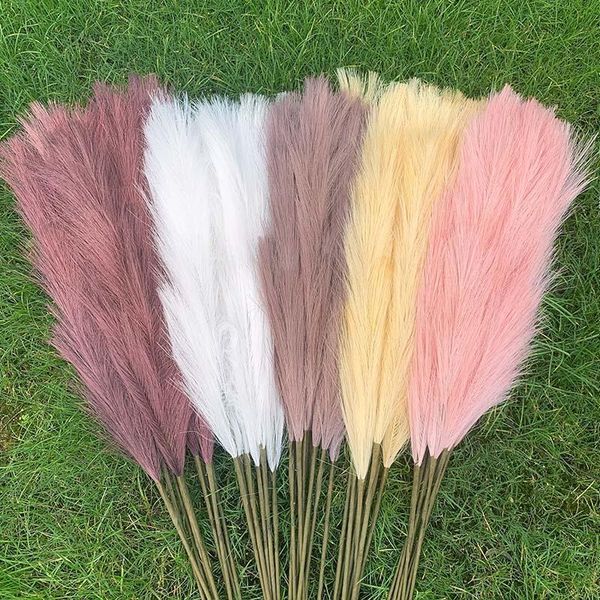 decorative flowers & wreaths 1pcs bulrush nature dry artifical pampas grass reed diy artificial plant home wedding christmas decoration bouq
decorative flowers & wreaths 1pcs bulrush nature dry artifical pampas grass reed diy artificial plant home wedding christmas decoration bouq