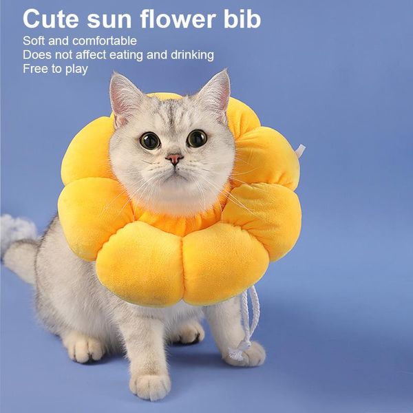cat elizabeth collar sunflower pet multifunctional adjustable collar anti licking anti biting protective dropship
cat elizabeth collar sunflower pet multifunctional adjustable collar anti licking anti biting protective dropship