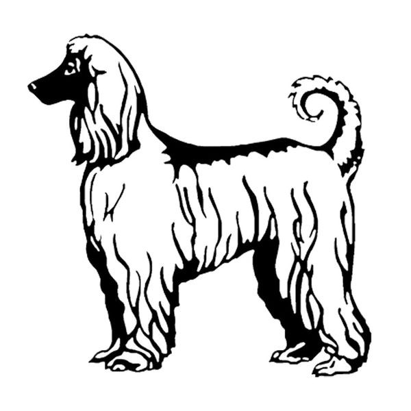 16*16cm afghan hound dog vinyl decal funny car stickers car styling motorcycle accessories black/silver s1-1046
16*16cm afghan hound dog vinyl decal funny car stickers car styling motorcycle accessories black/silver s1-1046