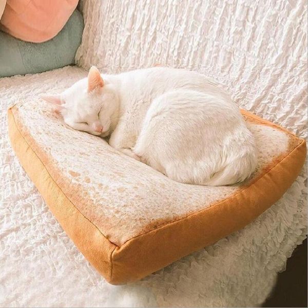 cat toys pet mat toast plush pillow toy bread slice cushion large dog lounger bed puppy warm soft house product for
cat toys pet mat toast plush pillow toy bread slice cushion large dog lounger bed puppy warm soft house product for
