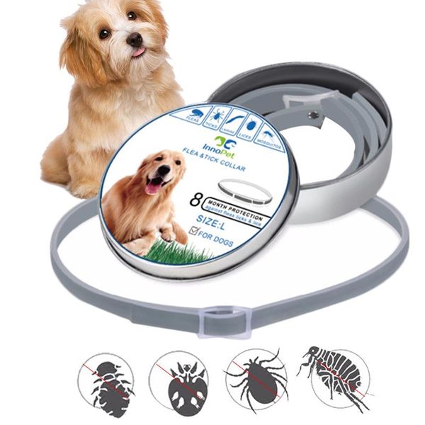 pet dog collar anti flea ticks mosquitoes outdoor protective adjustable pet collar dog neck straps 8 months long-term protection
pet dog collar anti flea ticks mosquitoes outdoor protective adjustable pet collar dog neck straps 8 months long-term protection