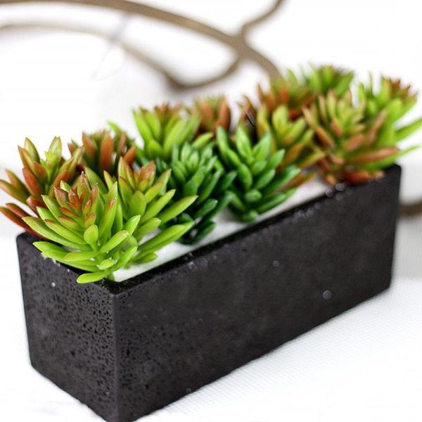 artifical plastic succulent plant cactus echeveria flower home office decor gift 10*5.5*1cm
artifical plastic succulent plant cactus echeveria flower home office decor gift 10*5.5*1cm