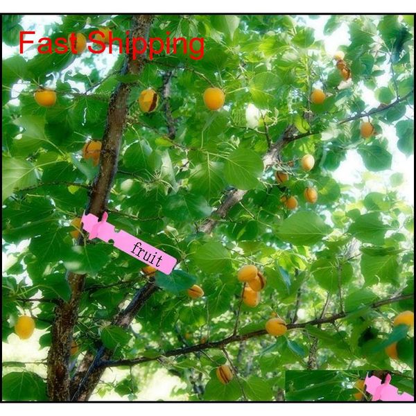gardening garden hang tag label hanging tree seedling plant fruit trees signs prompt car jllhrn garden_light
gardening garden hang tag label hanging tree seedling plant fruit trees signs prompt car jllhrn garden_light