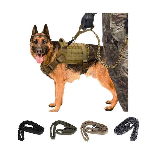 dog collars & leashes tactical large vest leash adjustable quick release belt explosion proof military dogs training control handle
dog collars & leashes tactical large vest leash adjustable quick release belt explosion proof military dogs training control handle