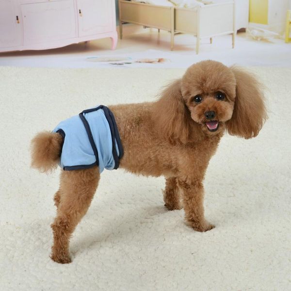 dog apparel pet clothes small, medium and large dogs teddy golden retriever labrador anti-harassment menstrual physiological pant
dog apparel pet clothes small, medium and large dogs teddy golden retriever labrador anti-harassment menstrual physiological pant