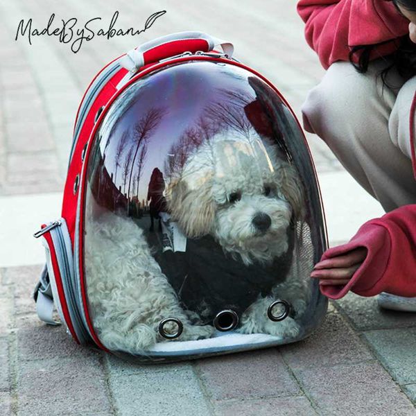 new transparent cat bag multifunctional folding space pet bag out portable dog expandable pet backpack
new transparent cat bag multifunctional folding space pet bag out portable dog expandable pet backpack