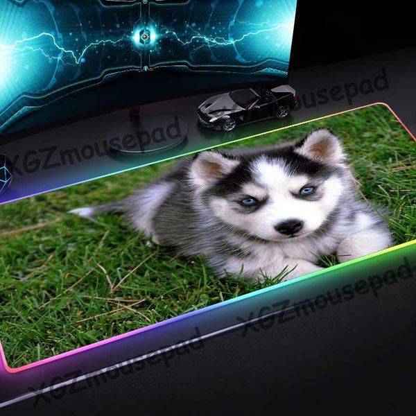 mouse pads & wrist rests xgz large rgb colorful luminous pad black lock edge animal pet dog husky custom computer desk mat speed rubber non-
mouse pads & wrist rests xgz large rgb colorful luminous pad black lock edge animal pet dog husky custom computer desk mat speed rubber non-