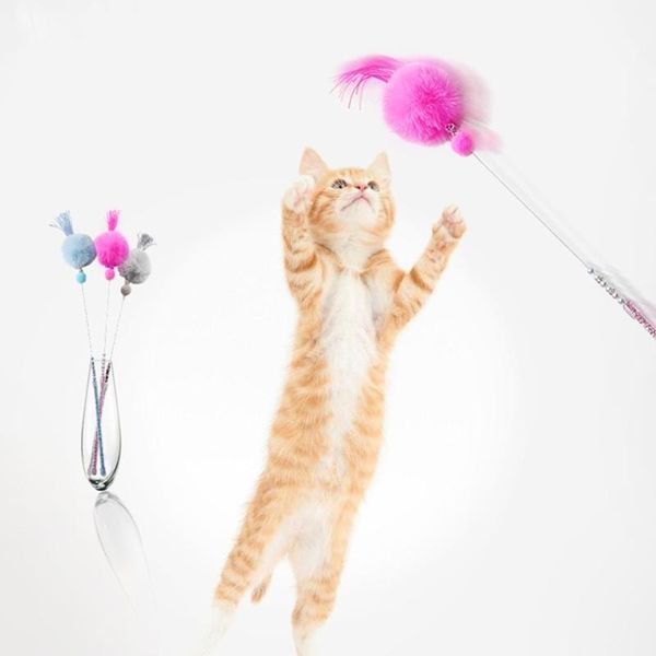 cat toys tassel colored beaded short s catcher teaser wand with hair ball pet interactive toy funny stick beautiful
cat toys tassel colored beaded short s catcher teaser wand with hair ball pet interactive toy funny stick beautiful