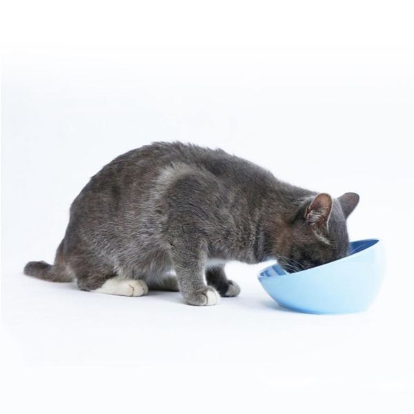 cat bowls & feeders pet drinking dish feeder puppy with raised feeding supplies small dog accessories produc tableware gamelle chat
cat bowls & feeders pet drinking dish feeder puppy with raised feeding supplies small dog accessories produc tableware gamelle chat