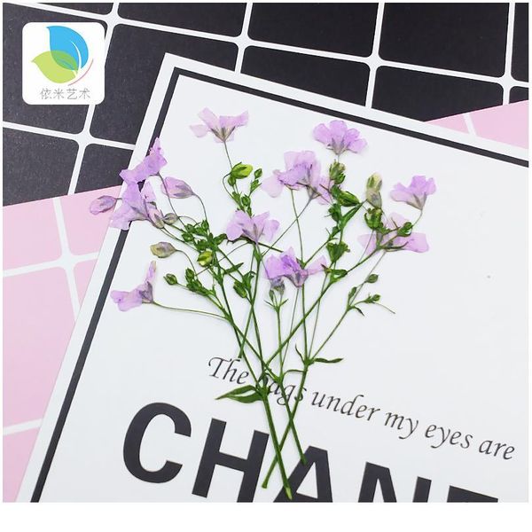 babysbreath small real dried flower dry plants for candle epoxy resin pendant necklace jewelry making craft diy a qylyqq
babysbreath small real dried flower dry plants for candle epoxy resin pendant necklace jewelry making craft diy a qylyqq