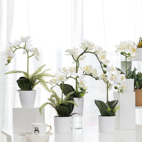 decorative flowers & wreaths artificial white phalaenopsis fake flower plant simulation potted plants nordic home accessories room decor wed
decorative flowers & wreaths artificial white phalaenopsis fake flower plant simulation potted plants nordic home accessories room decor wed