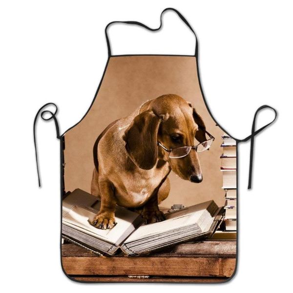 dachshund professor apron - cooking kitchen chef barber apron bib aprons for women men
dachshund professor apron - cooking kitchen chef barber apron bib aprons for women men