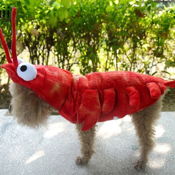 dog apparel winter clothes halloween lobster costume cat christmas suit s pet overalls funny clothing for french bulldog qwnb
dog apparel winter clothes halloween lobster costume cat christmas suit s pet overalls funny clothing for french bulldog qwnb