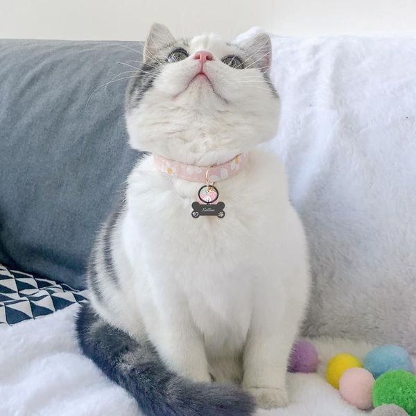 cat collars & leads cute pet supplies kawaii blue pink collar with bell and cartoon peach accessories custom engrave id namependant tag
cat collars & leads cute pet supplies kawaii blue pink collar with bell and cartoon peach accessories custom engrave id namependant tag