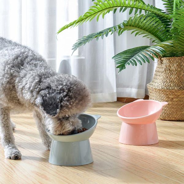 cat bowls & feeders high foot bowl oblique mouth pets feeder neck protector dog non-slip binaural pet feeding container
cat bowls & feeders high foot bowl oblique mouth pets feeder neck protector dog non-slip binaural pet feeding container