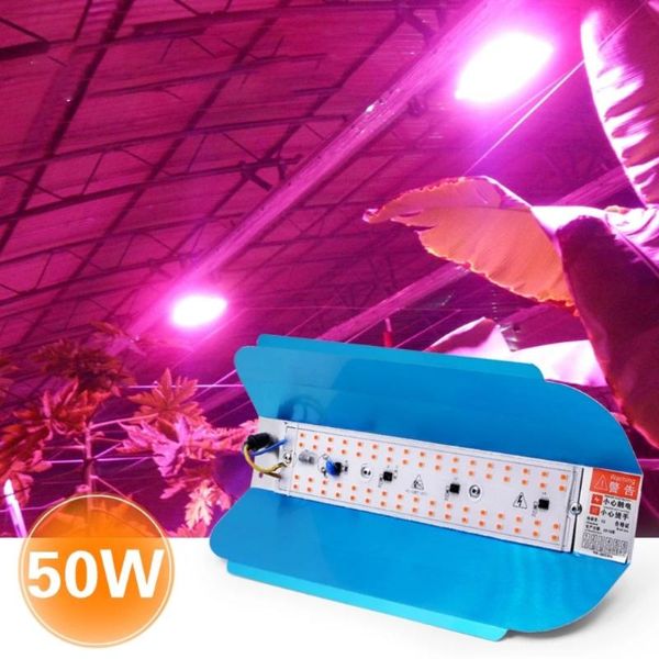 50/100w led grow light outdoor led plants growing lamp full spectrum greenhouse hydroponic plant growth lighting phyto lamp
50/100w led grow light outdoor led plants growing lamp full spectrum greenhouse hydroponic plant growth lighting phyto lamp