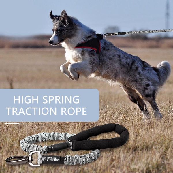 dog collars & leashes pet supplies reflective nylon retractable elastic seat belt pitbull puppy vehicle car safety lever auto traction rope
dog collars & leashes pet supplies reflective nylon retractable elastic seat belt pitbull puppy vehicle car safety lever auto traction rope