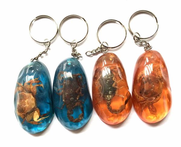 yqtdmy 8 pcs fashion big size scorpion crab design biker keychain, Slivery;golden
yqtdmy 8 pcs fashion big size scorpion crab design biker keychain, Slivery;golden