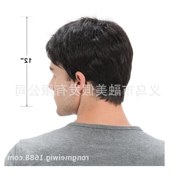fluffy wig men's straight face wig fashion short hair men's high temperature silk rose net, Black
fluffy wig men's straight face wig fashion short hair men's high temperature silk rose net, Black