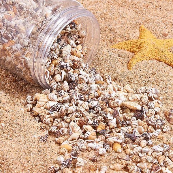 decorations tiny sea shell ocean beach spiral seashells craft charms home decoration theme party wedding decor fish tank vase filler
decorations tiny sea shell ocean beach spiral seashells craft charms home decoration theme party wedding decor fish tank vase filler