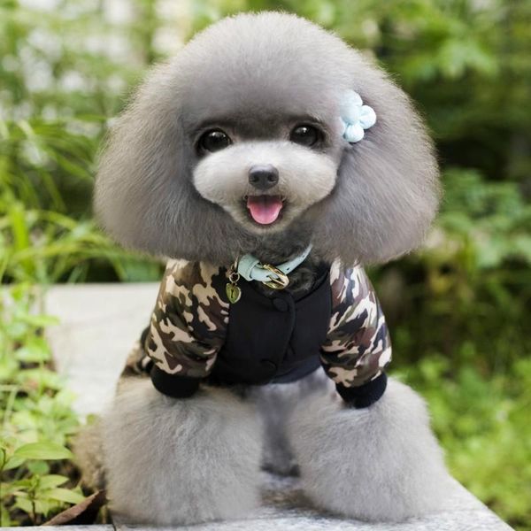 camouflage fashion dog clothes autumn winter four-legged cotton-padded jacket warm thicker cartoon black boy ropa para perro
camouflage fashion dog clothes autumn winter four-legged cotton-padded jacket warm thicker cartoon black boy ropa para perro