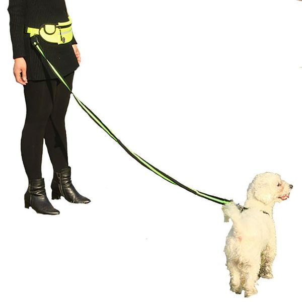 dog collars & leashes nylon teddy small leash pet training safety mountain climbing rope lead fanny pack drawstring set
dog collars & leashes nylon teddy small leash pet training safety mountain climbing rope lead fanny pack drawstring set