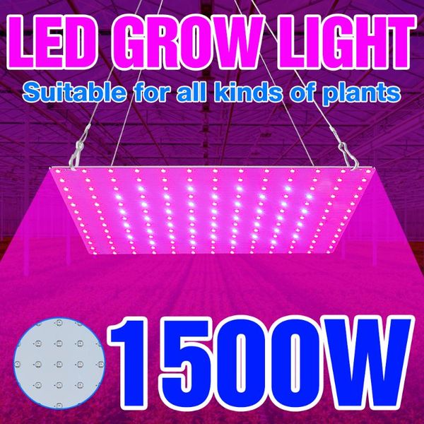 grow lights 1500w full spectrum led lamp quantum board plant light 220v phyto bulb 1000w for greenhouse flowers seedling tent
grow lights 1500w full spectrum led lamp quantum board plant light 220v phyto bulb 1000w for greenhouse flowers seedling tent