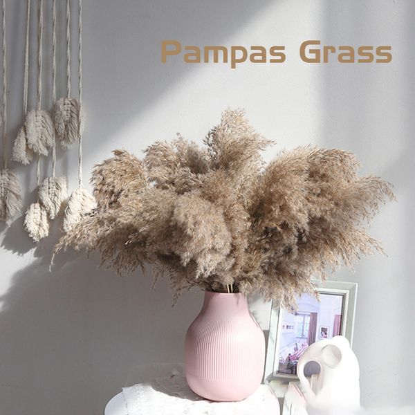 10/20/30/50pcs dried pampas grass decor fluffy pampasgrass wedding flowers natural bouquet for home christmas decorations vase
10/20/30/50pcs dried pampas grass decor fluffy pampasgrass wedding flowers natural bouquet for home christmas decorations vase