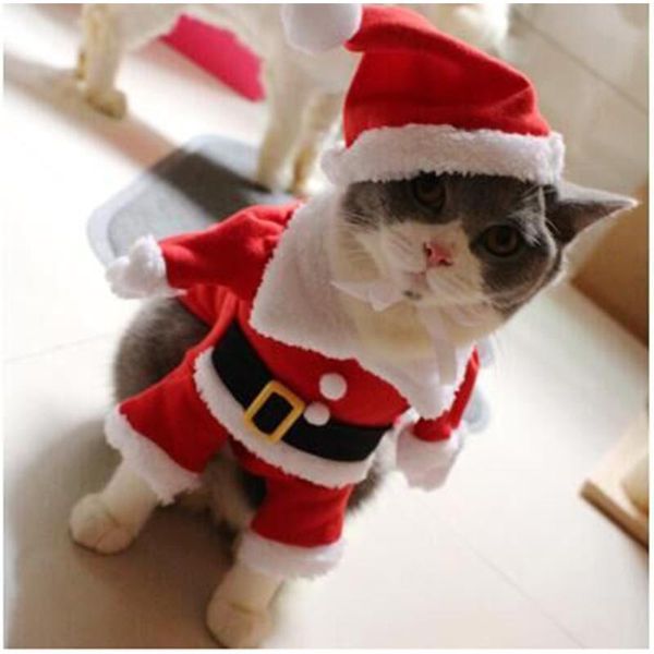 cat costumes winter puppy pet coat jacket dog suit with cap warm clothing christmas clothes santa claus costume for dogs cats
cat costumes winter puppy pet coat jacket dog suit with cap warm clothing christmas clothes santa claus costume for dogs cats