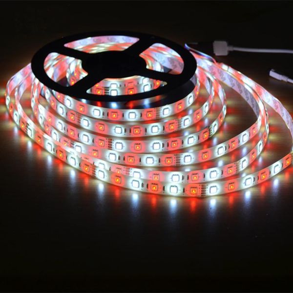 led light strips decoration lighting 72led/m rgbw ribbon lamp for festival party bedroom tape diode
led light strips decoration lighting 72led/m rgbw ribbon lamp for festival party bedroom tape diode