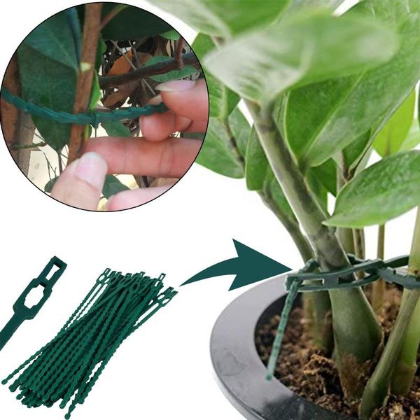 other garden supplies adjustable plant strap support fast-tighten fish bone tie reusable and environmental fastener plastic ties #t2p
other garden supplies adjustable plant strap support fast-tighten fish bone tie reusable and environmental fastener plastic ties #t2p