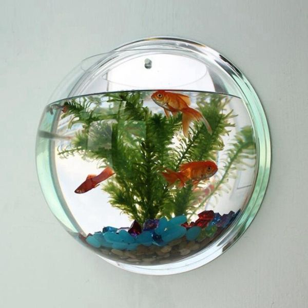 aquariums acrylic fish bowl wall hanging aquarium tank aquatic pet supplies products mount breeding breeder
aquariums acrylic fish bowl wall hanging aquarium tank aquatic pet supplies products mount breeding breeder