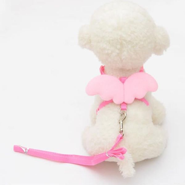 dog collars & leashes cute small pet dogs cats set puppy leads angel wing design adjustable harness pets accessories wholesale
dog collars & leashes cute small pet dogs cats set puppy leads angel wing design adjustable harness pets accessories wholesale