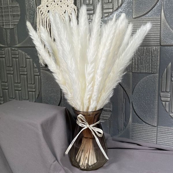 30pcs dekoration natural dried flowers pampas grass real artificial plants wedding bunch christmas decorations for home decor
30pcs dekoration natural dried flowers pampas grass real artificial plants wedding bunch christmas decorations for home decor