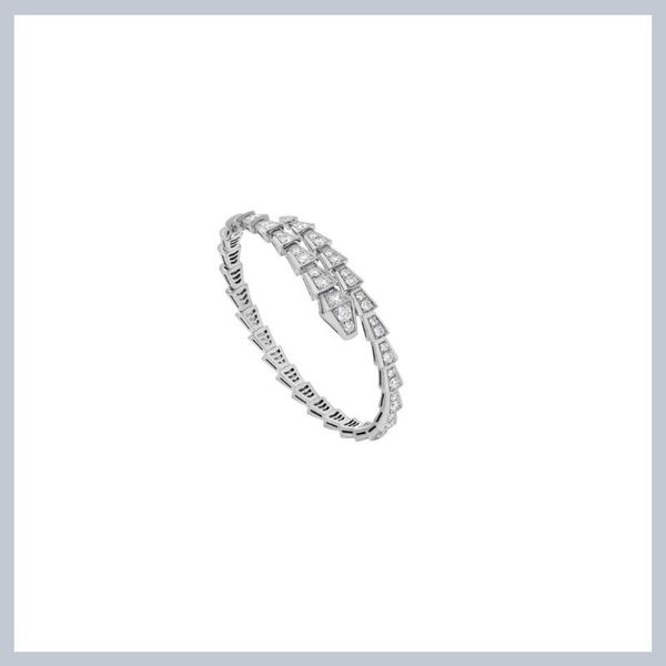 bangle 2021 the 925 sterling silver snake bracelet with bone drill set auger classic lovers gift, Black
bangle 2021 the 925 sterling silver snake bracelet with bone drill set auger classic lovers gift, Black
