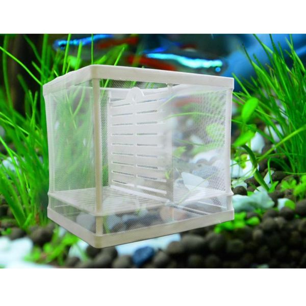 aquariums aquarium fish tank double breed incubator breeder rearing trap box hatchery