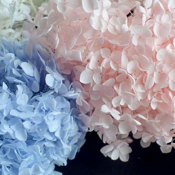 other accessories 5g/lot hydrangea real dried flower dry plants candle epoxy pendant nelace jewelry making craft diy accories, White
other accessories 5g/lot hydrangea real dried flower dry plants candle epoxy pendant nelace jewelry making craft diy accories, White