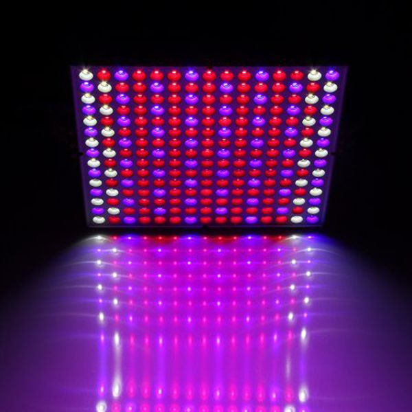 2021 new 45 w ac85-265v growing lamps full spectrum levou grows light brought lighting fitolampy for plant change cultivation sd60
2021 new 45 w ac85-265v growing lamps full spectrum levou grows light brought lighting fitolampy for plant change cultivation sd60