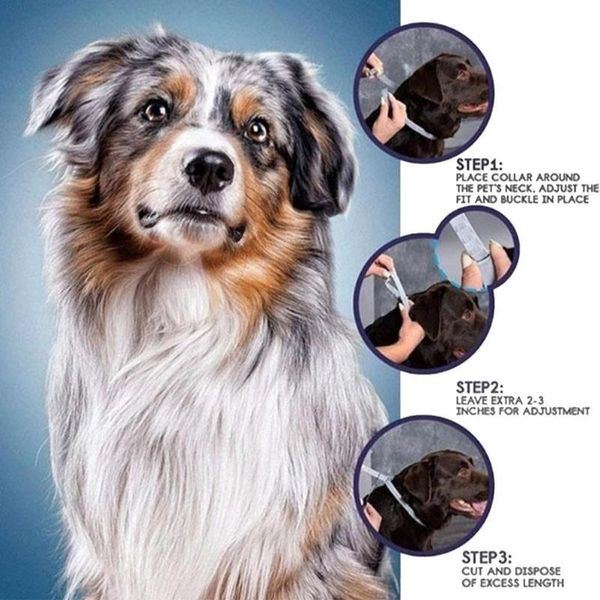 cat collars & leads pet collar remove fleas tick for dogs cats anti-mosquito dog repellent insect t3x9
cat collars & leads pet collar remove fleas tick for dogs cats anti-mosquito dog repellent insect t3x9