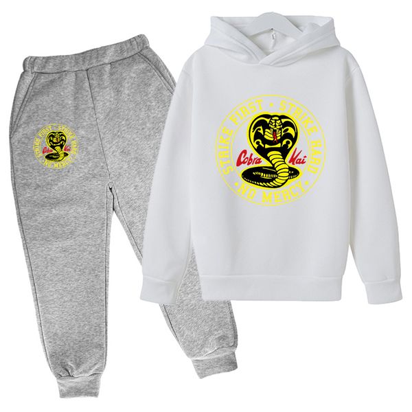 cool cobra kai funny cartoon harajuku autumn hoodies snake print anime graphic sweatshirt+pants fashion hip hop pullover suit, White
cool cobra kai funny cartoon harajuku autumn hoodies snake print anime graphic sweatshirt+pants fashion hip hop pullover suit, White
